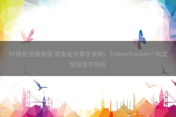 TP钱包充值教程 冒失处分数字金钱：TokenPocket一站式加密货币钱包